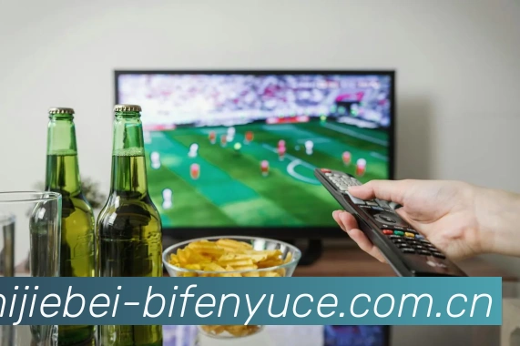 世界杯比分预测平台生态图